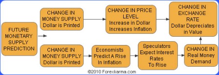 Currency Substitution Model Flowchart